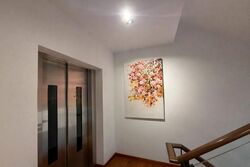 Frankel Estate (D15), Semi-Detached #525383541